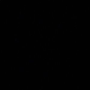 Meet your Posher, Samuel